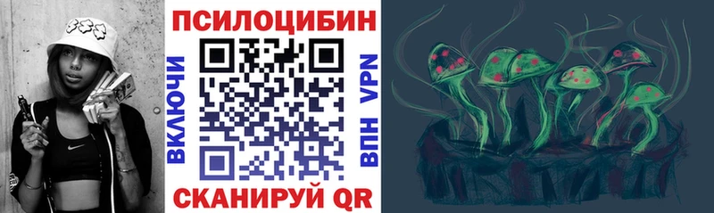 мориарти телеграм  Калязин  Псилоцибиновые грибы ЛСД  дарнет шоп 