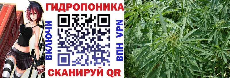 Каннабис VHQ  площадка как зайти  Калязин  купить наркотики цена 